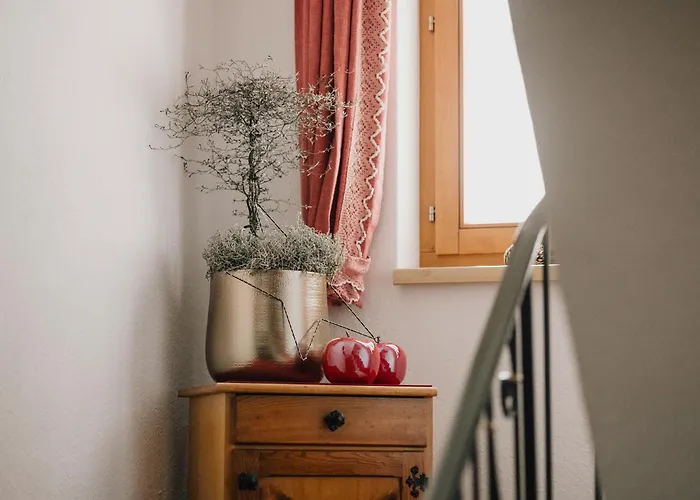 شقة Tyrol Inkl Der Super Sommer Card Im Sommer 2026